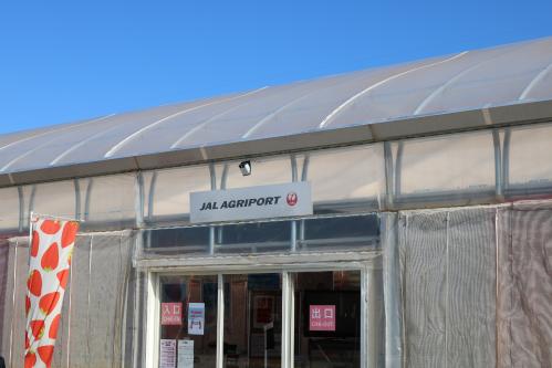 ビニールハウス