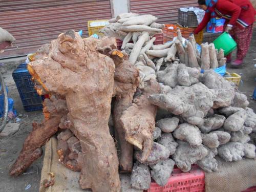 「マゲ・サンクランティ」２