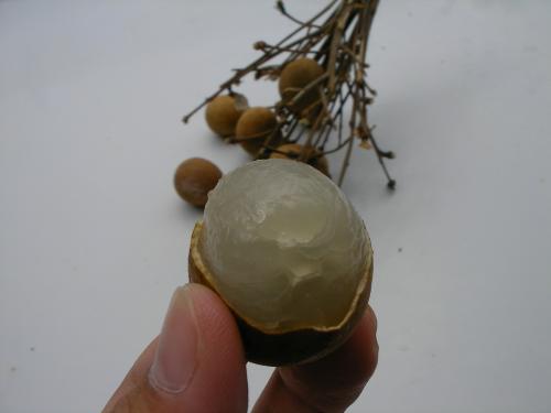 ロンガン（竜眼）