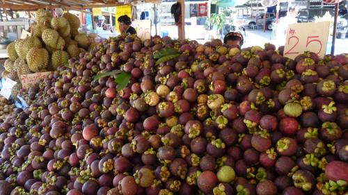 マンゴスティンシーズン