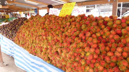 ランブータンシーズン