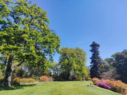 アイラム・ガーデンズ