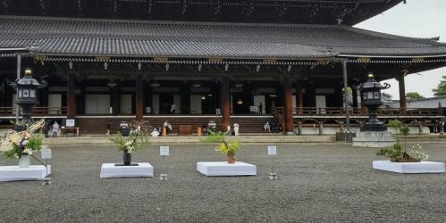 本願寺花展