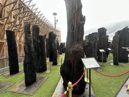 コロンビアパビリオン