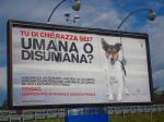 犬