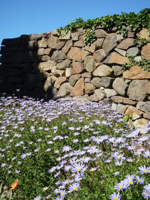 Ｐ９０-１３７Ｆ