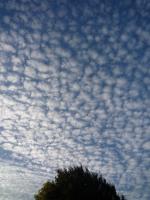 Ｐ９１-１２２Ｆ