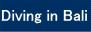 バリ島でダイビングするなら、ブルーシーズン・バリで！！