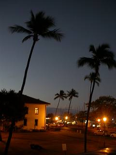 バルコニーから早朝港を眺める