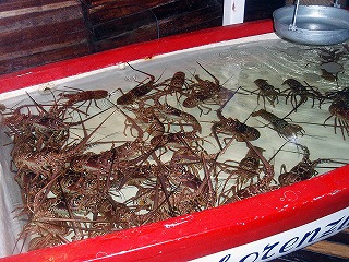 ロレンシージョス２