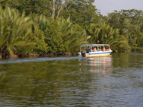 リバーサファリ