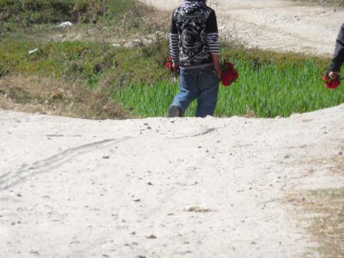 ラリグラス　５