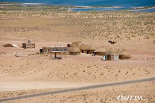 砂漠・湖・ラクダ