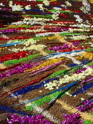 花祭りはローマナビネットがご案内3