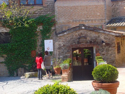 モンタルチーノ4