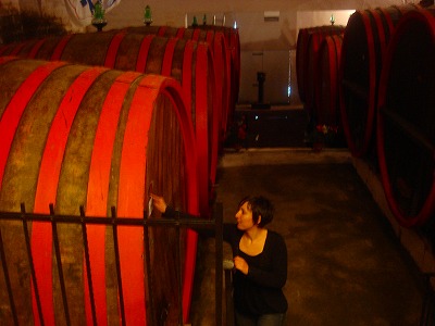 モンタルチーノ5