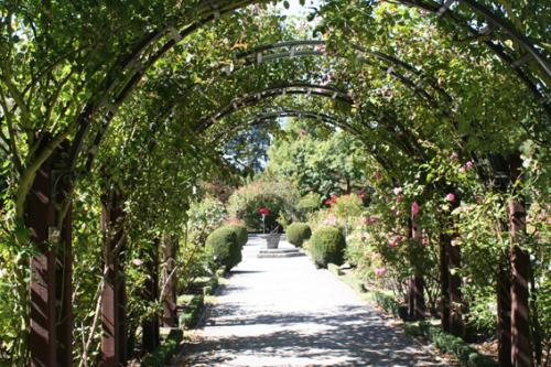 Ｐ９１-０１７Ｆ