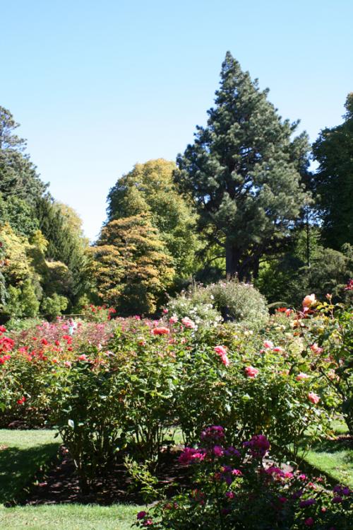 Ｐ９１-０２７Ｆ