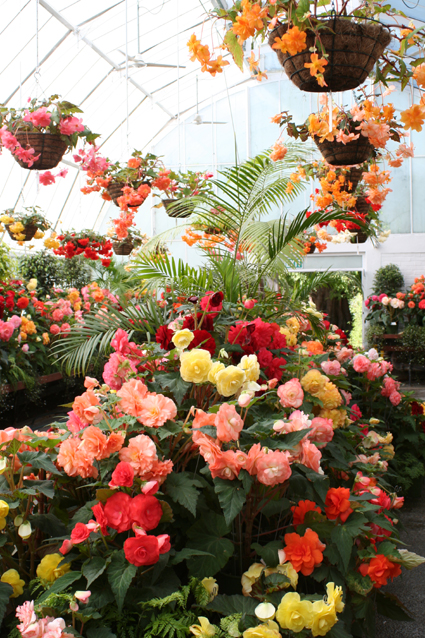 Ｐ９１-００５Ｆ