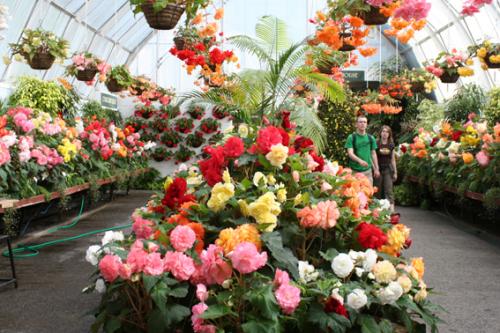 Ｐ９１-００７Ｆ