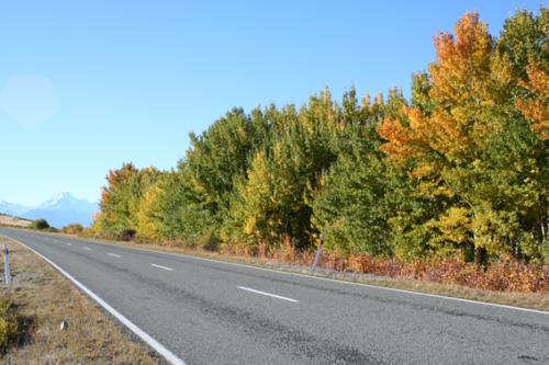 Ｐ５０-０１２Ｆ