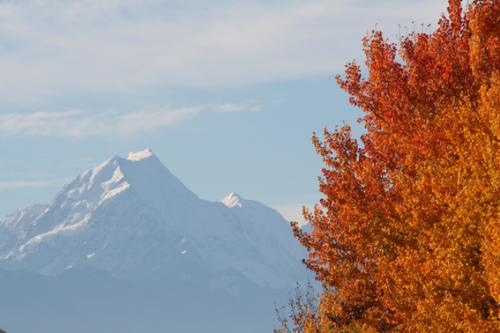 Ｐ５０-０５３Ｆ