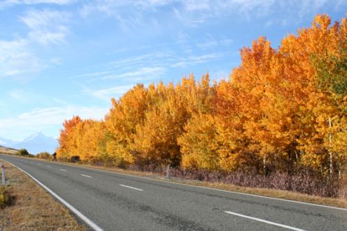 Ｐ５０-０５４Ｆ