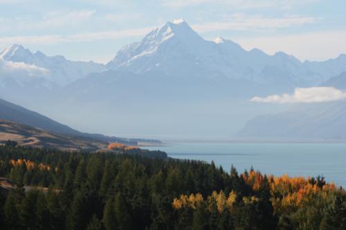 Ｐ５０-０６３Ｆ