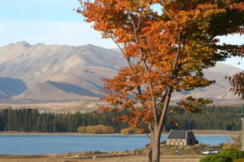 Ｐ５０-０７１Ｆ