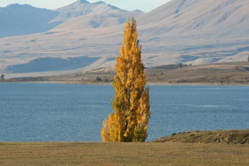 Ｐ５０-０７２Ｆ