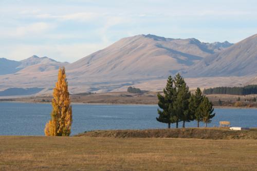 Ｐ５０-０７３Ｆ