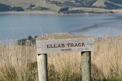 Ｐ１３-０２３Ｆ