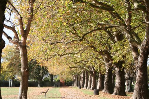 Ｐ１８-０１２Ｆ