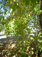 Ｐ９３-０４２Ｆ