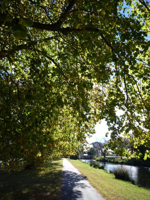 Ｐ９３-０４３Ｆ