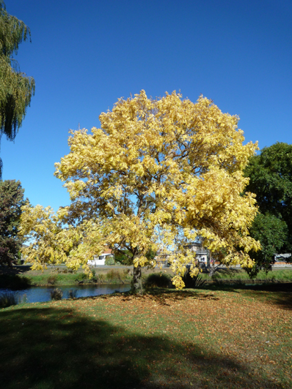 Ｐ９３-０４６Ｆ