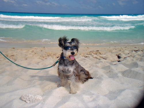 ドルフィンビーチ3