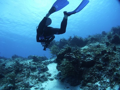 常時透明度30ｍオーバー。