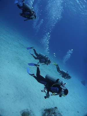 ダイバーの泡がくっきり。