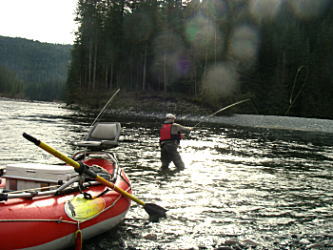 場所によってはボートから降りて