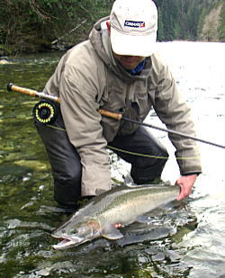 ニジマスの大物のようなスチールヘッド