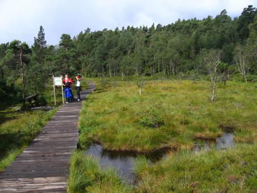 途中には木道や美しい景色も