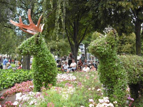 ハーブでできた動物たち