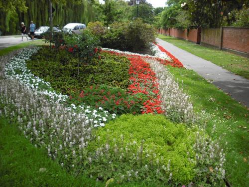 ’カンタベリー植物園に行く途中で見つけた花壇'