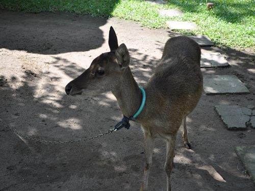 プリマスヴィラ7