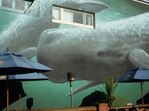 Ｐ９２-０８４Ｆ