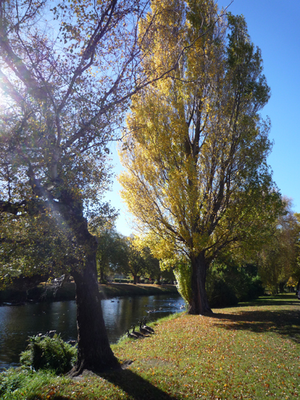 Ｐ９３-０７２Ｆ