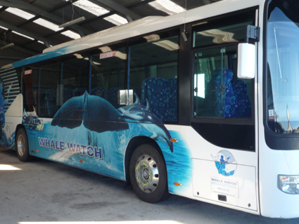 Ｐ９２-１０１Ｆ