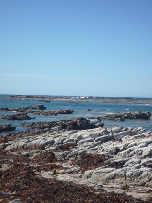 Ｐ９２-００１Ｆ