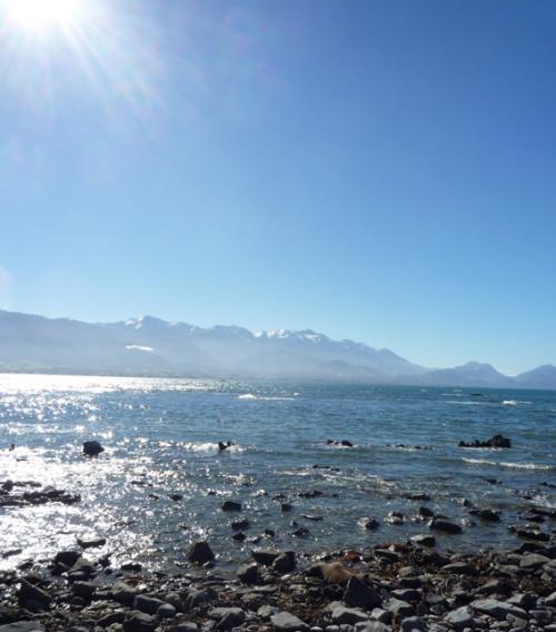 Ｐ９２-０２４Ｆ